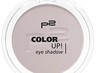 p2 COLOR UP! eye shadow