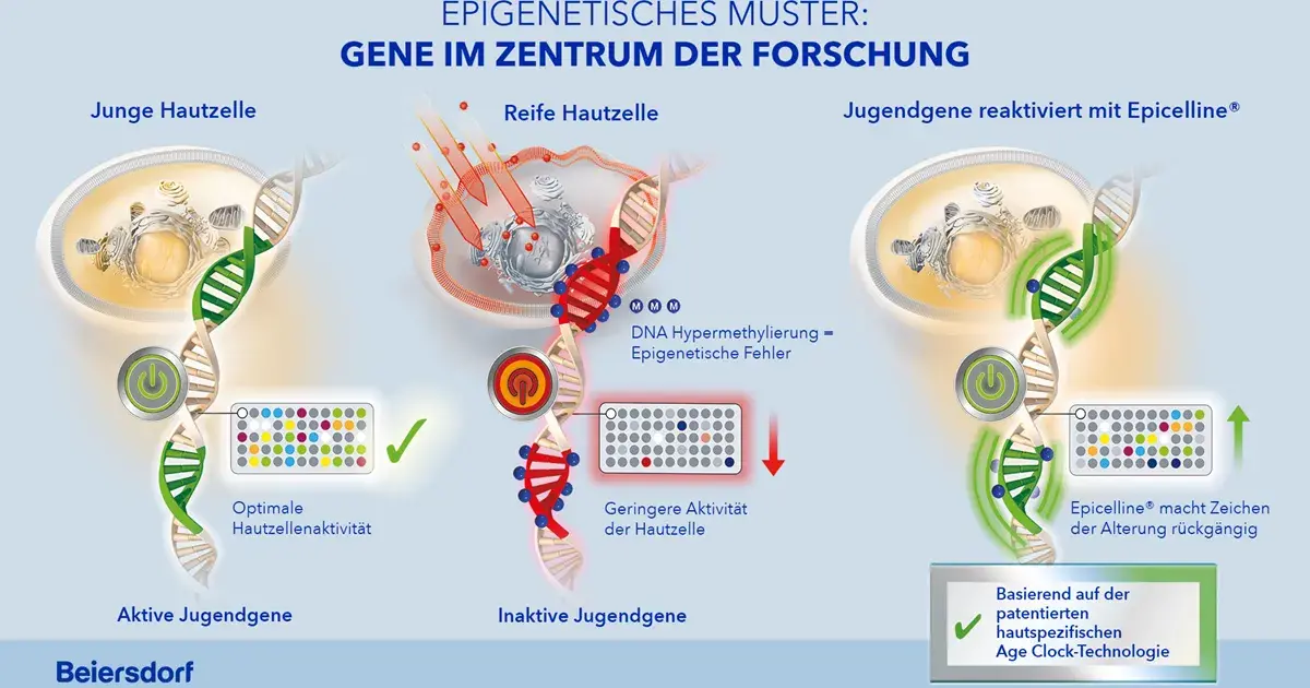 Beiersdorf präsentiert erstes Produkt mit patentierter, hautspezifischer „Age Clock“-Technologie